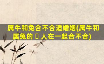 属牛和兔合不合适婚姻(属牛和属兔的 ☘ 人在一起合不合)